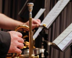 trumpet 2942146 1280 p5826onkliglb2tmwxrhushos2eotbrolcclw2ar80 - Domov