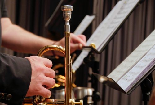Vzdelávacie kurzy trumpet 2942146 1280 p5826onnn5f1tu596jdpr66ky6n528mofzrx1bbcco - Vzdelávacie kurzy